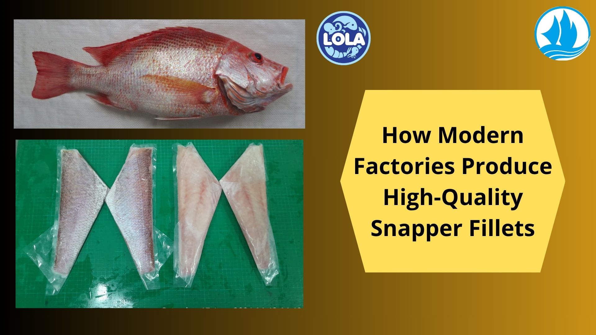   How Modern Factories Produce High-Quality Snapper Fillets